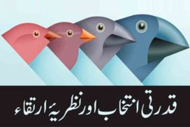 critical thinking book in urdu